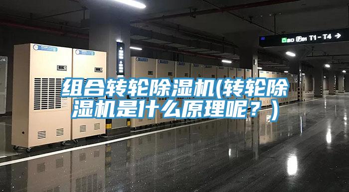 組合轉(zhuǎn)輪除濕機(jī)(轉(zhuǎn)輪除濕機(jī)是什么原理呢？)