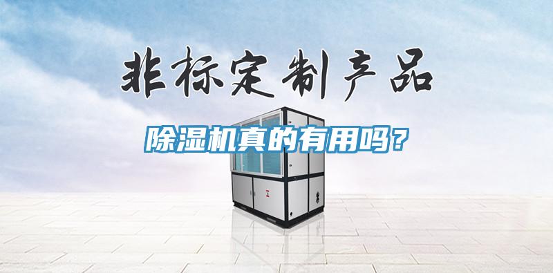 除濕機真的有用嗎？