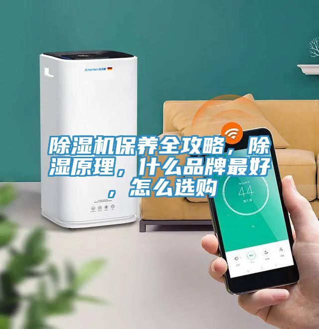 除濕機保養(yǎng)全攻略，除濕原理，什么品牌最好，怎么選購