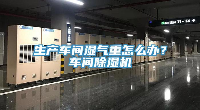 生產(chǎn)車間濕氣重怎么辦？車間除濕機(jī)