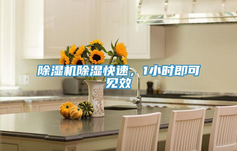 除濕機(jī)除濕快速，1小時即可見效
