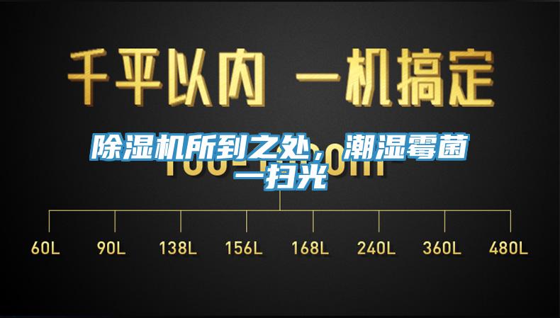 除濕機所到之處，潮濕霉菌一掃光