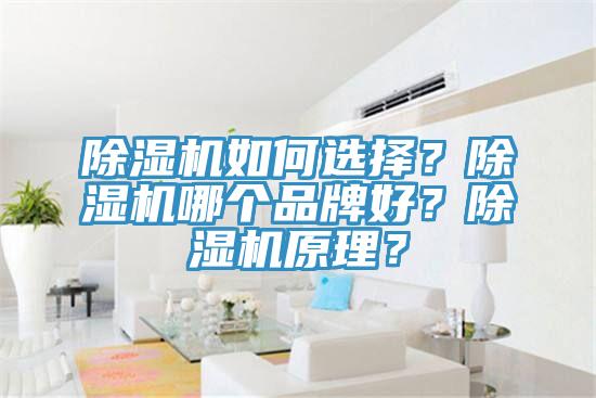 除濕機(jī)如何選擇？除濕機(jī)哪個(gè)品牌好？除濕機(jī)原理？