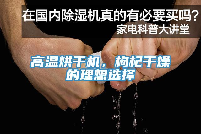 高溫烘干機，枸杞干燥的理想選擇