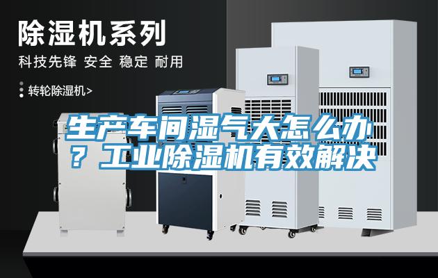 生產(chǎn)車間濕氣大怎么辦？工業(yè)除濕機(jī)有效解決