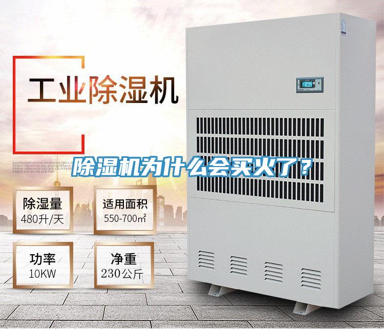 除濕機(jī)為什么會買火了？