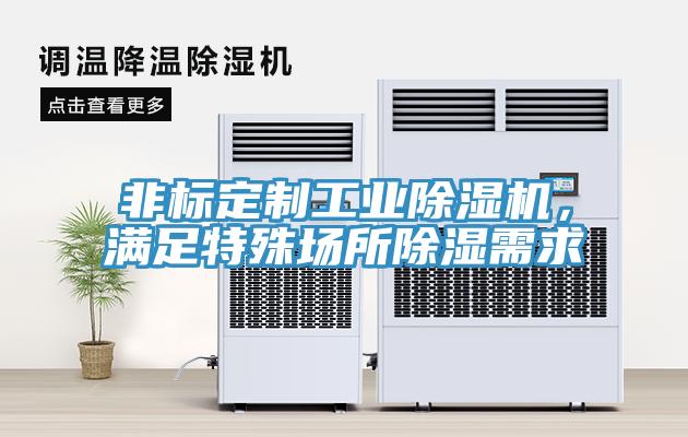 非標定制工業(yè)除濕機，滿足特殊場所除濕需求