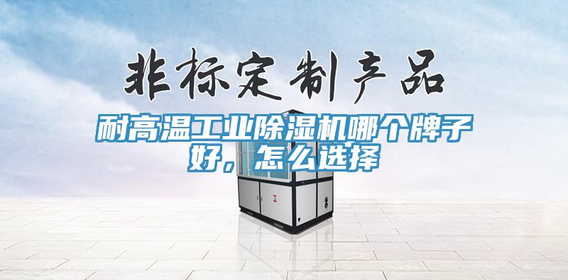 耐高溫工業(yè)除濕機(jī)哪個(gè)牌子好，怎么選擇