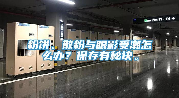 粉餅、散粉與眼影受潮怎么辦？保存有秘訣。