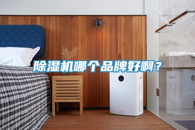 除濕機(jī)哪個(gè)品牌好?。?></div>
								<div   id=