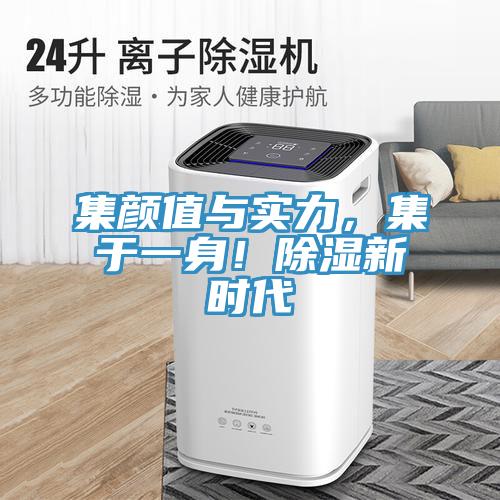 集顏值與實(shí)力，集于一身！除濕新時(shí)代