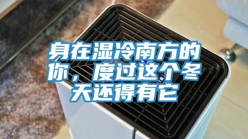 身在濕冷南方的你，度過這個冬天還得有它