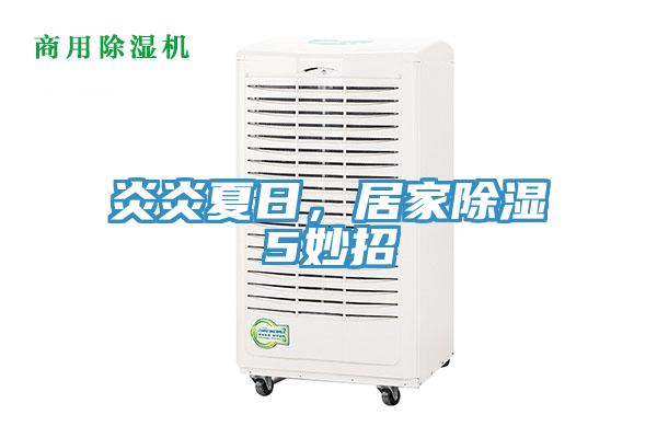 炎炎夏日，居家除濕5妙招