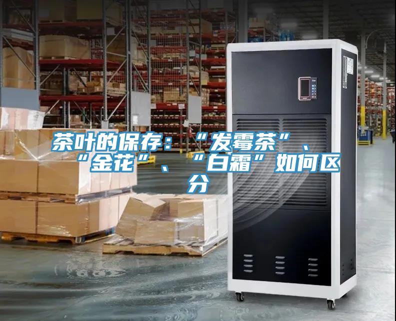 茶葉的保存：“發(fā)霉茶”、“金花”、“白霜”如何區(qū)分