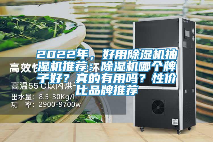 2022年，好用除濕機(jī)抽濕機(jī)推薦：除濕機(jī)哪個(gè)牌子好？真的有用嗎？性價(jià)比品牌推薦
