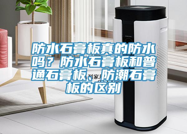 防水石膏板真的防水嗎？防水石膏板和普通石膏板、防潮石膏板的區(qū)別