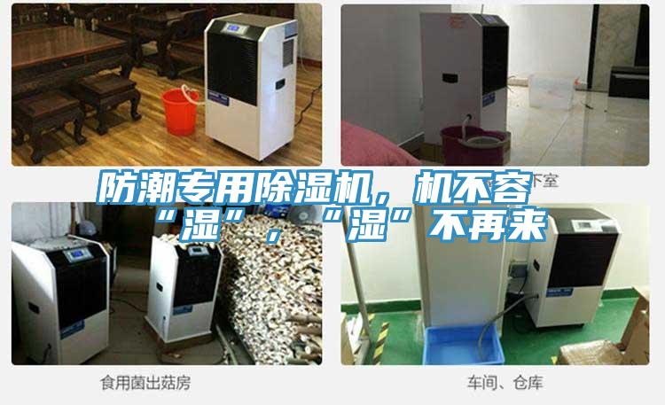 防潮專用除濕機，機不容“濕”，“濕”不再來