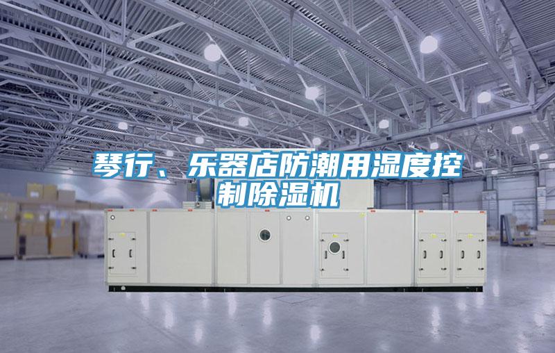琴行、樂器店防潮用濕度控制除濕機(jī)