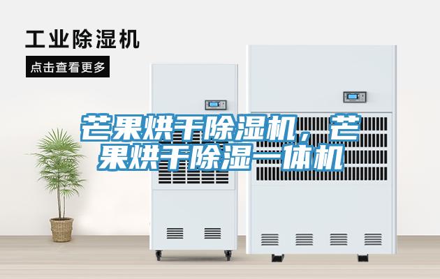 芒果烘干除濕機(jī)，芒果烘干除濕一體機(jī)