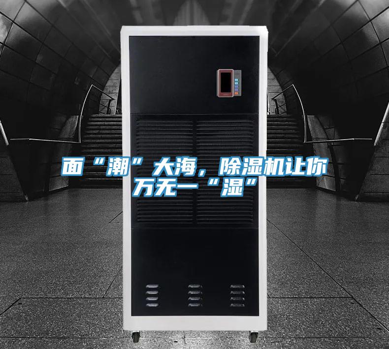 面“潮”大海，除濕機讓你萬無一“濕”