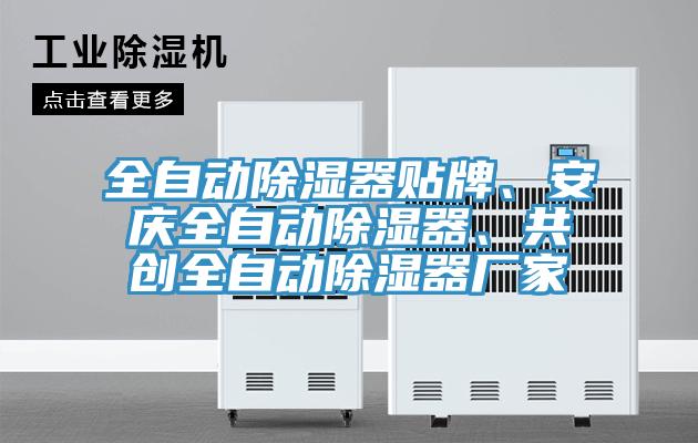 全自動除濕器貼牌、安慶全自動除濕器、共創(chuàng)全自動除濕器廠家