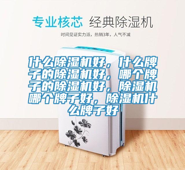 什么除濕機(jī)好，什么牌子的除濕機(jī)好，哪個(gè)牌子的除濕機(jī)好，除濕機(jī)哪個(gè)牌子好，除濕機(jī)什么牌子好