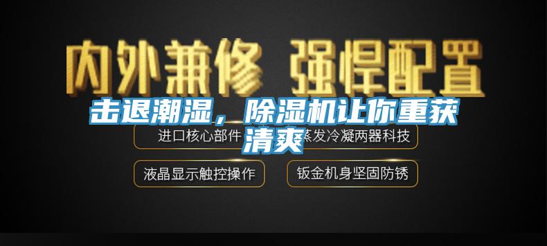 擊退潮濕，除濕機(jī)讓你重獲清爽
