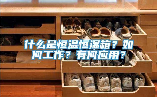什么是恒溫恒濕箱？如何工作？有何應(yīng)用？