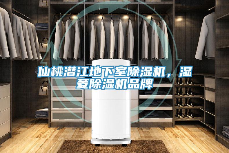 仙桃潛江地下室除濕機，濕菱除濕機品牌