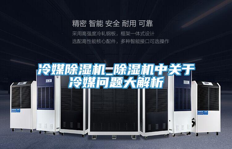 冷媒除濕機_除濕機中關(guān)于冷媒問題大解析