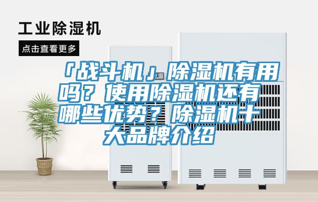 「戰(zhàn)斗機」除濕機有用嗎？使用除濕機還有哪些優(yōu)勢？除濕機十大品牌介紹