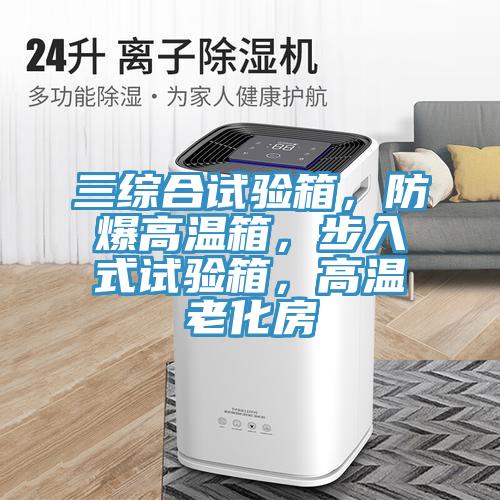 三綜合試驗箱，防爆高溫箱，步入式試驗箱，高溫老化房