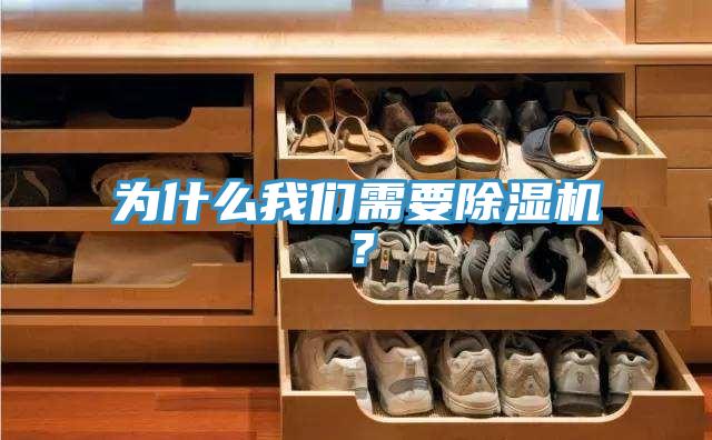 為什么我們需要除濕機(jī)？