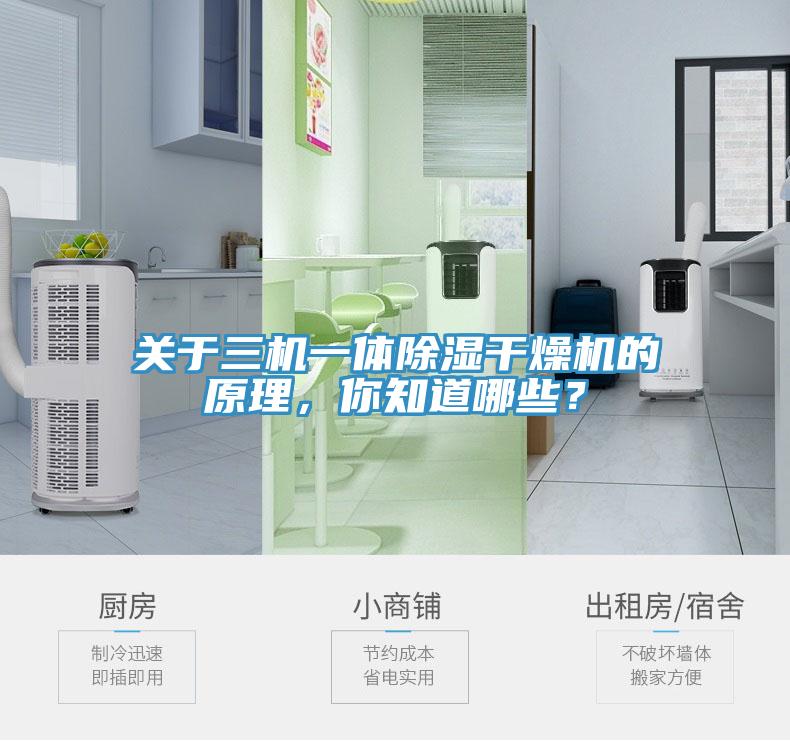 關(guān)于三機(jī)一體除濕干燥機(jī)的原理，你知道哪些？