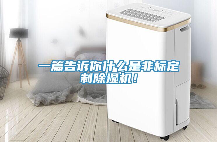 一篇告訴你什么是非標(biāo)定制除濕機(jī)！