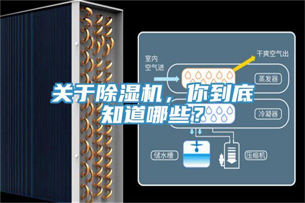 關(guān)于除濕機(jī)，你到底知道哪些？