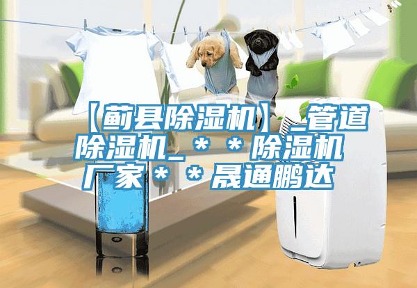 【薊縣除濕機(jī)】_管道除濕機(jī)_＊＊除濕機(jī)廠(chǎng)家＊＊晟通鵬達(dá)