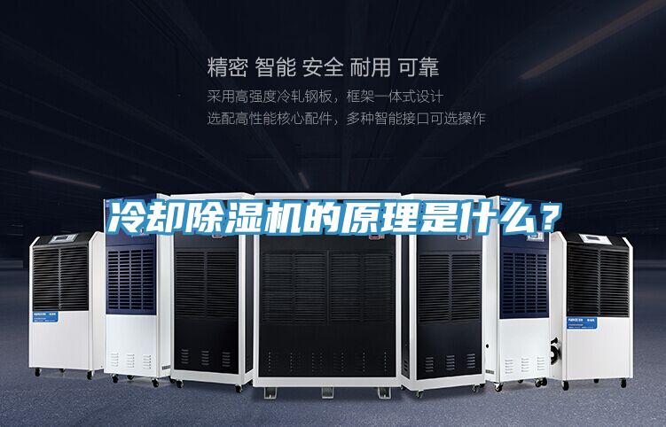 冷卻除濕機的原理是什么？
