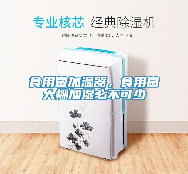 食用菌加濕器，食用菌大棚加濕必不可少
