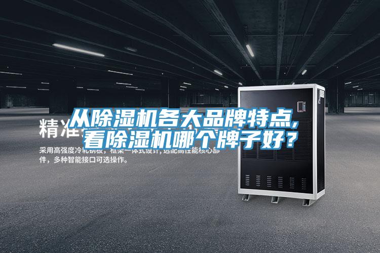 從除濕機(jī)各大品牌特點(diǎn), 看除濕機(jī)哪個牌子好？
