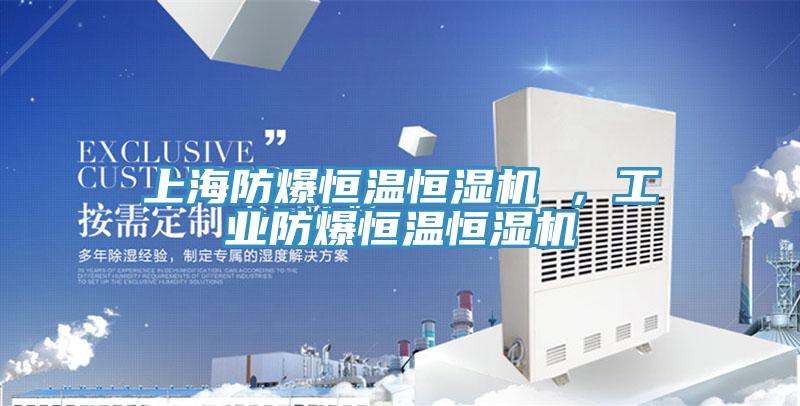 上海防爆恒溫恒濕機(jī) ，工業(yè)防爆恒溫恒濕機(jī)