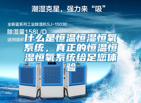 什么是恒溫恒濕恒氧系統(tǒng)，真正的恒溫恒濕恒氧系統(tǒng)給足您體驗(yàn)