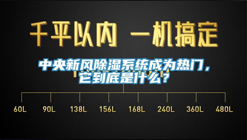 中央新風(fēng)除濕系統(tǒng)成為熱門，它到底是什么？