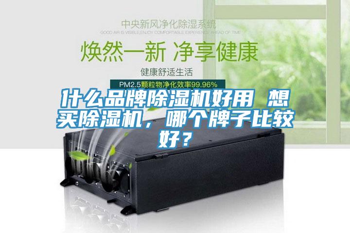 什么品牌除濕機好用 想買除濕機，哪個牌子比較好？