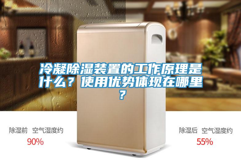 冷凝除濕裝置的工作原理是什么？使用優(yōu)勢體現(xiàn)在哪里？