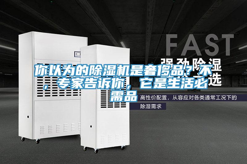 你以為的除濕機(jī)是奢侈品？不，專家告訴你，它是生活必需品
