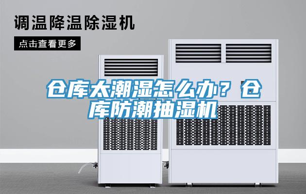 倉庫太潮濕怎么辦？倉庫防潮抽濕機