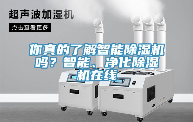 你真的了解智能除濕機(jī)嗎？智能、凈化除濕機(jī)在線