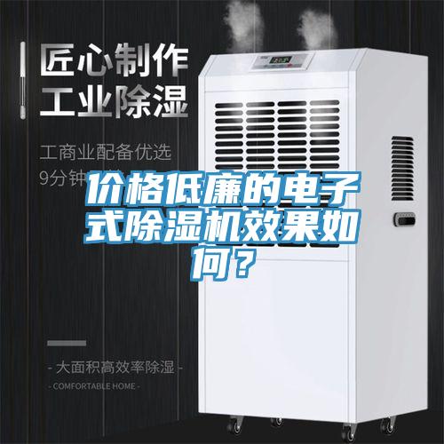 價格低廉的電子式除濕機效果如何？