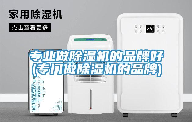 專(zhuān)業(yè)做除濕機(jī)的品牌好(專(zhuān)門(mén)做除濕機(jī)的品牌)